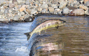 买球站-世界杯足球压球网-五大联赛买球赛-欧预赛买球网-中欧买球网-亚洲体育FIFA滚球_世界杯体育新闻