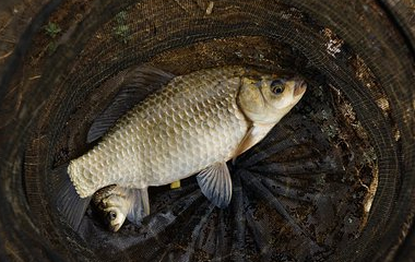 买球站-世界杯足球压球网-五大联赛买球赛-欧预赛买球网-中欧买球网-亚洲体育FIFA滚球_世界杯体育新闻