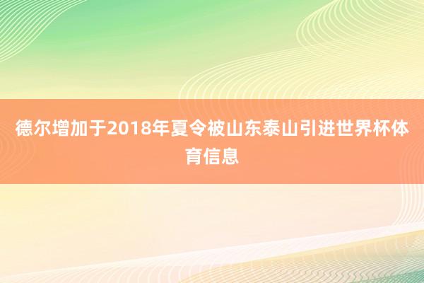 德尔增加于2018年夏令被山东泰山引进世界杯体育信息
