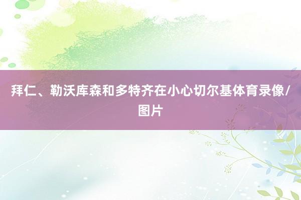 拜仁、勒沃库森和多特齐在小心切尔基体育录像/图片
