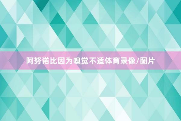 阿努诺比因为嗅觉不适体育录像/图片