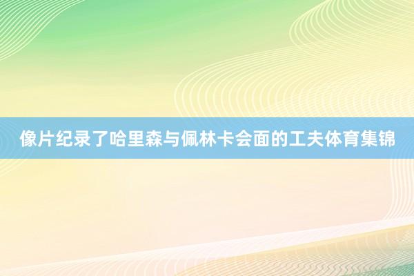 像片纪录了哈里森与佩林卡会面的工夫体育集锦