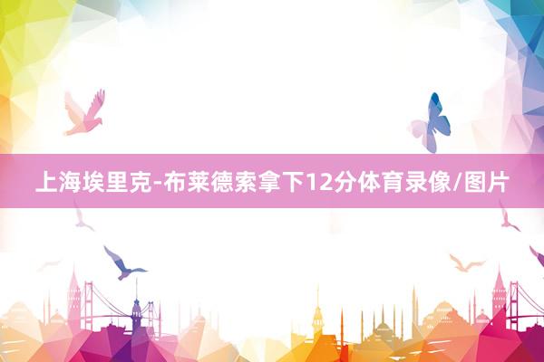 上海埃里克-布莱德索拿下12分体育录像/图片