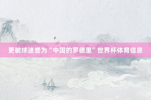 更被球迷誉为“中国的罗德里”世界杯体育信息