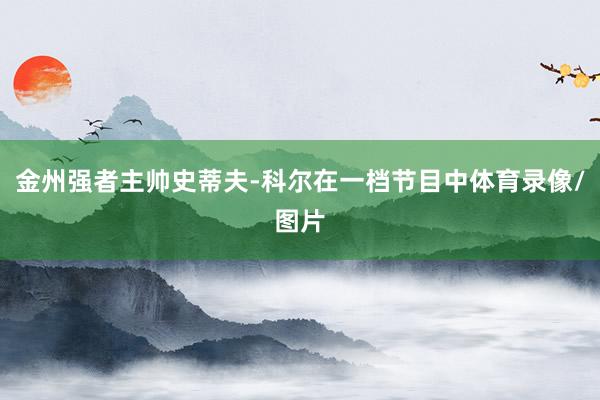 金州强者主帅史蒂夫-科尔在一档节目中体育录像/图片