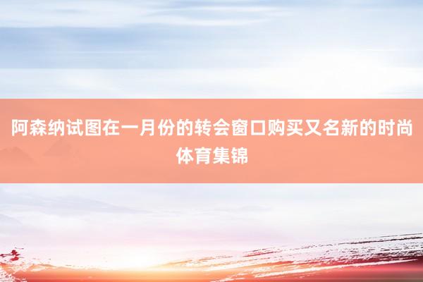 阿森纳试图在一月份的转会窗口购买又名新的时尚体育集锦