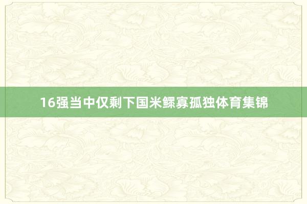16强当中仅剩下国米鳏寡孤独体育集锦