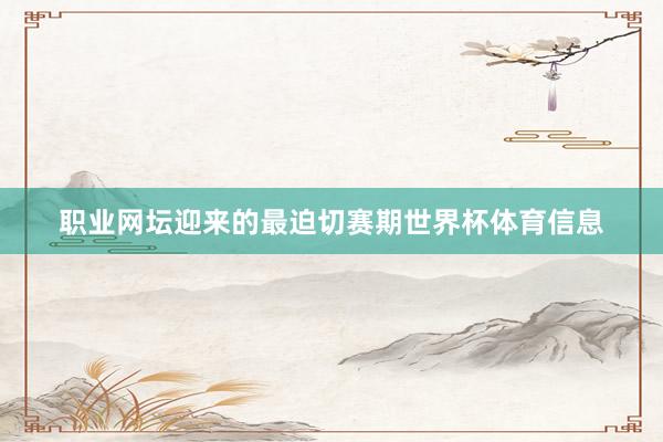职业网坛迎来的最迫切赛期世界杯体育信息