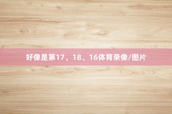 好像是第17、18、16体育录像/图片