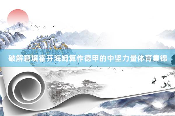 破解窘境霍芬海姆算作德甲的中坚力量体育集锦
