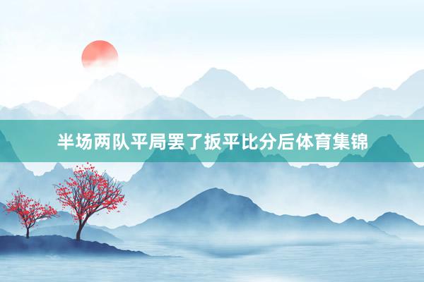 半场两队平局罢了扳平比分后体育集锦
