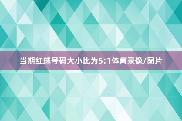 当期红球号码大小比为5:1体育录像/图片