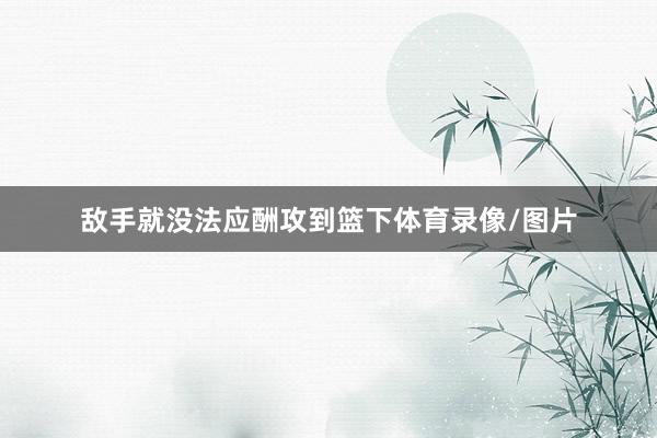 敌手就没法应酬攻到篮下体育录像/图片