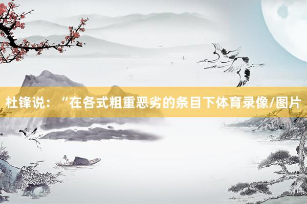 杜锋说：“在各式粗重恶劣的条目下体育录像/图片