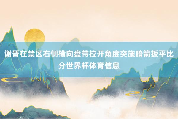 谢晋在禁区右侧横向盘带拉开角度突施暗箭扳平比分世界杯体育信息