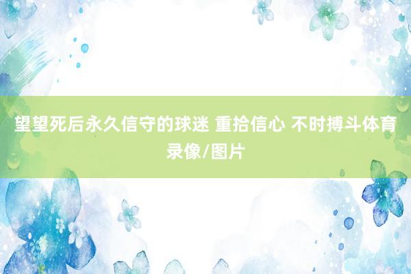 望望死后永久信守的球迷 重拾信心 不时搏斗体育录像/图片