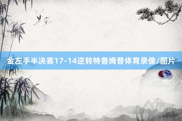 金左手半决赛17-14逆转特鲁姆普体育录像/图片