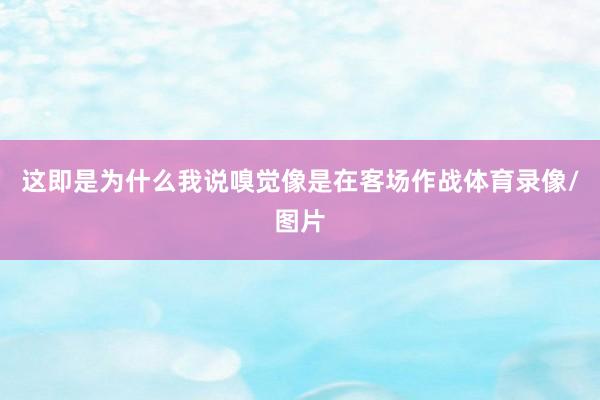 这即是为什么我说嗅觉像是在客场作战体育录像/图片