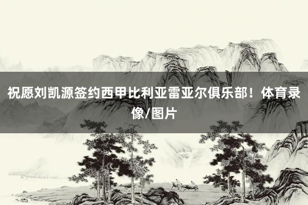 祝愿刘凯源签约西甲比利亚雷亚尔俱乐部！体育录像/图片