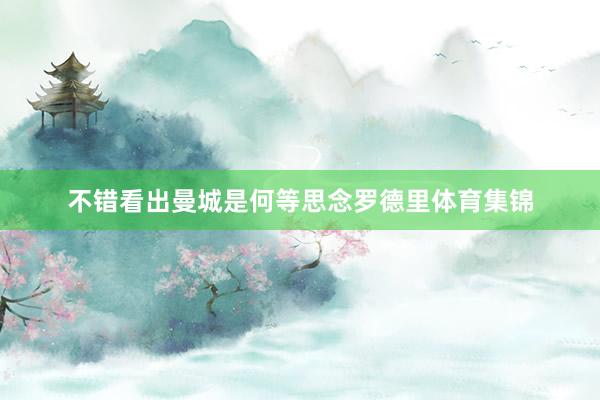 不错看出曼城是何等思念罗德里体育集锦