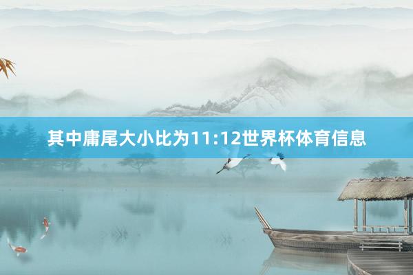 其中庸尾大小比为11:12世界杯体育信息