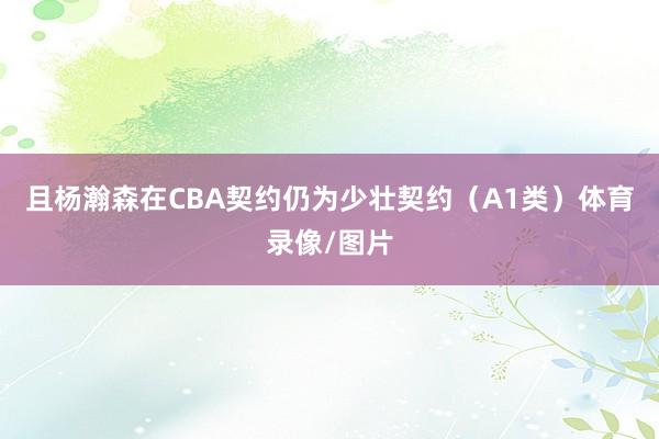 且杨瀚森在CBA契约仍为少壮契约(A1类)体育录像/图片