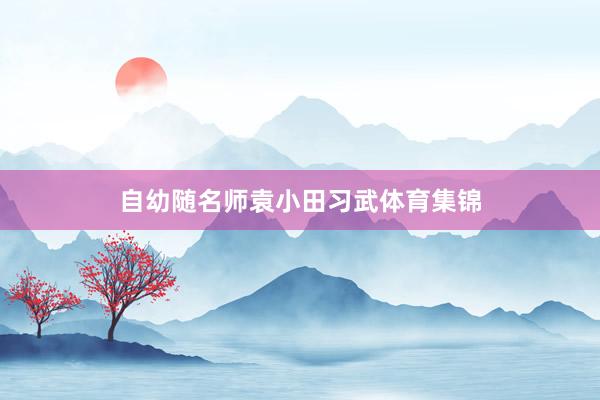 自幼随名师袁小田习武体育集锦