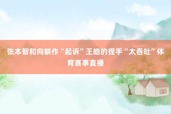 张本智和向耕作“起诉”王皓的捏手“太吞吐”体育赛事直播