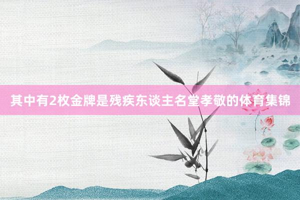 其中有2枚金牌是残疾东谈主名堂孝敬的体育集锦