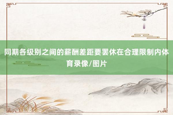 同期各级别之间的薪酬差距要罢休在合理限制内体育录像/图片
