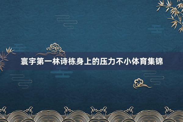 寰宇第一林诗栋身上的压力不小体育集锦