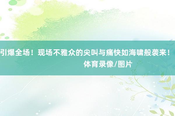顿时引爆全场！现场不雅众的尖叫与痛快如海啸般袭来！                            体育录像/图片