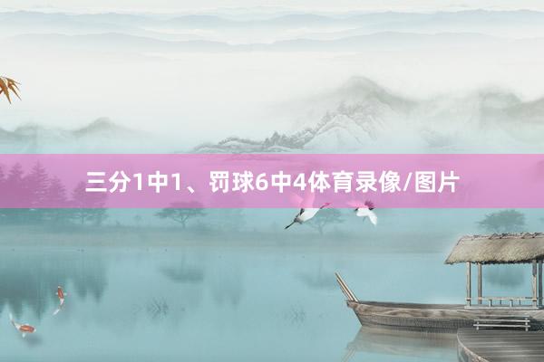 三分1中1、罚球6中4体育录像/图片
