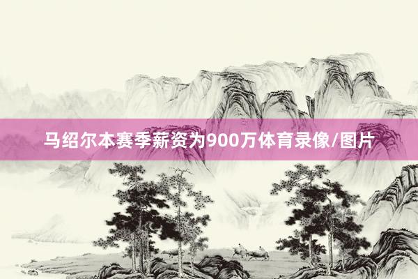 马绍尔本赛季薪资为900万体育录像/图片