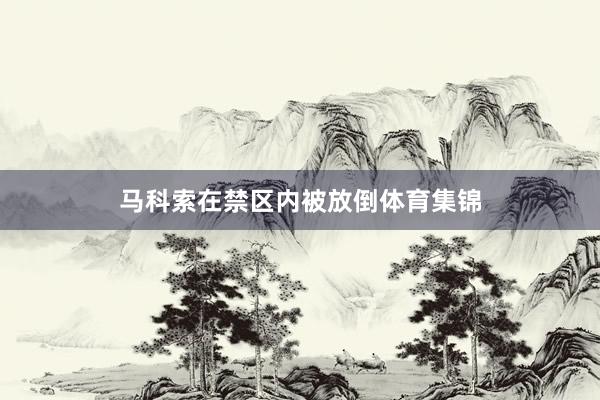 马科索在禁区内被放倒体育集锦