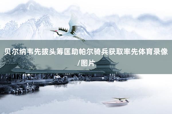 贝尔纳韦先拔头筹匡助帕尔骑兵获取率先体育录像/图片