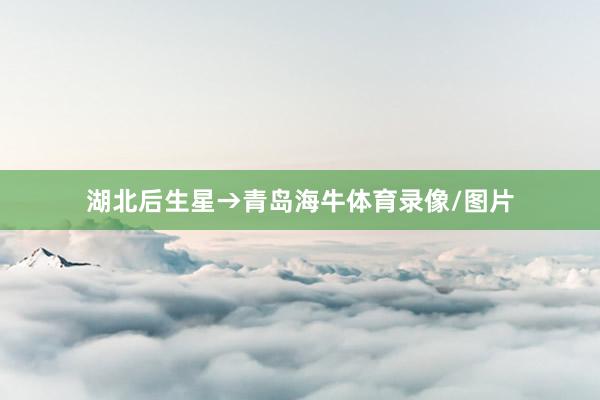 湖北后生星→青岛海牛体育录像/图片