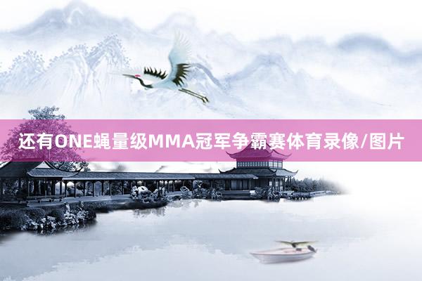 还有ONE蝇量级MMA冠军争霸赛体育录像/图片