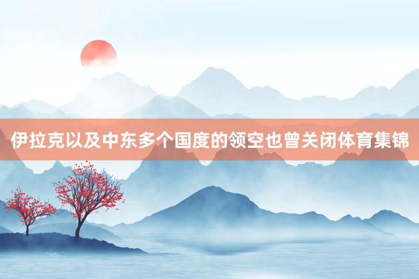 伊拉克以及中东多个国度的领空也曾关闭体育集锦