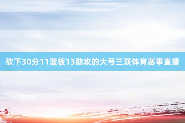 砍下30分11篮板13助攻的大号三双体育赛事直播