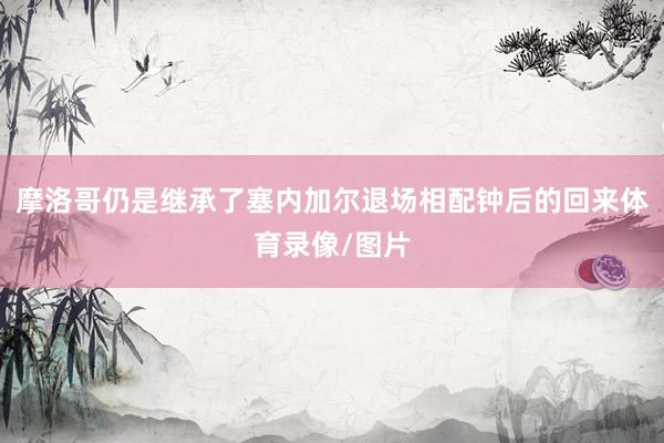 摩洛哥仍是继承了塞内加尔退场相配钟后的回来体育录像/图片