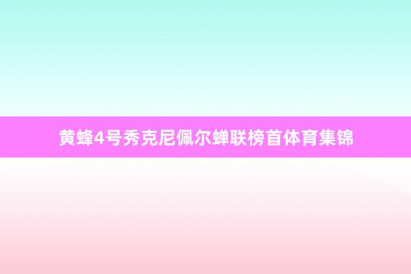 黄蜂4号秀克尼佩尔蝉联榜首体育集锦