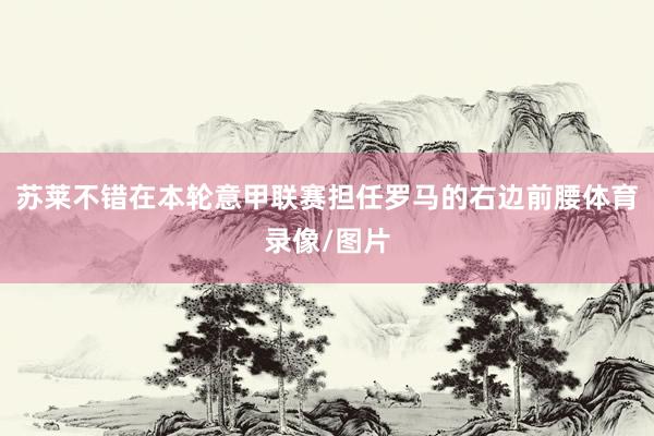 苏莱不错在本轮意甲联赛担任罗马的右边前腰体育录像/图片