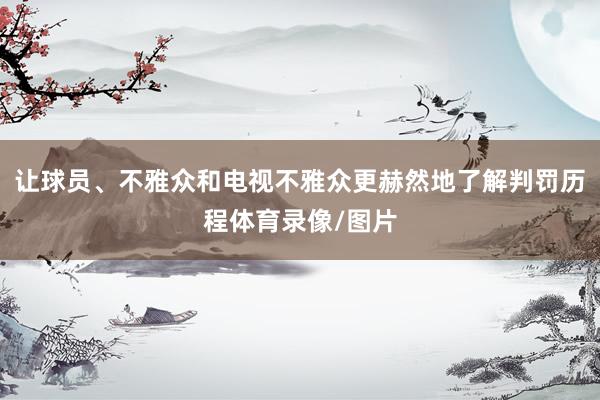让球员、不雅众和电视不雅众更赫然地了解判罚历程体育录像/图片