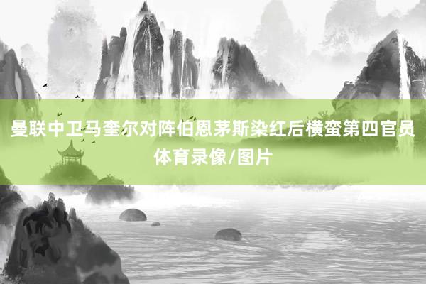 曼联中卫马奎尔对阵伯恩茅斯染红后横蛮第四官员体育录像/图片