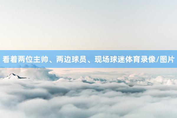 看着两位主帅、两边球员、现场球迷体育录像/图片