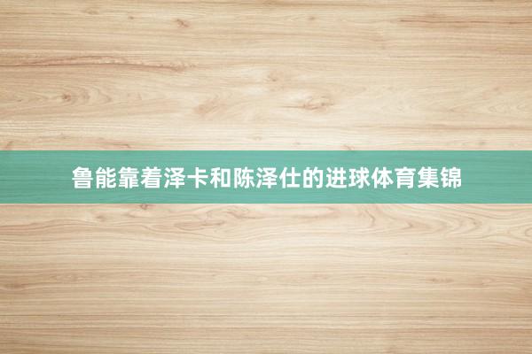 鲁能靠着泽卡和陈泽仕的进球体育集锦