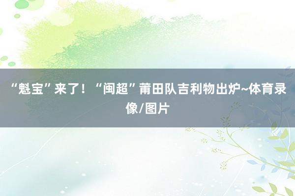 “魁宝”来了！“闽超”莆田队吉利物出炉~体育录像/图片