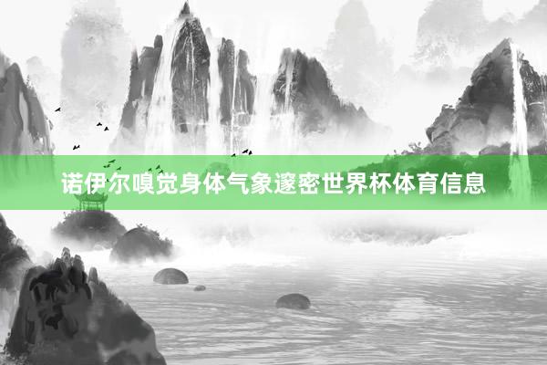 诺伊尔嗅觉身体气象邃密世界杯体育信息