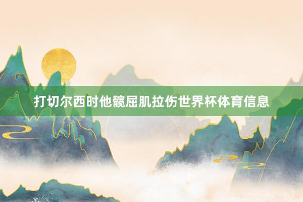 打切尔西时他髋屈肌拉伤世界杯体育信息
